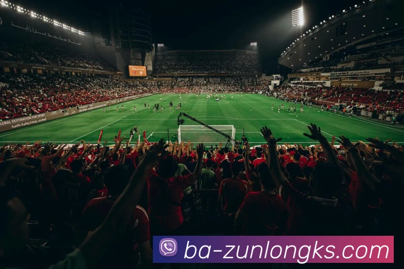 多媒体互动体验